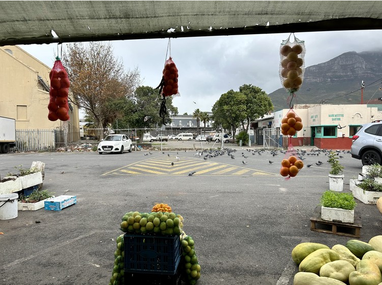 The Salt River Market site, where social housing is planned. 
