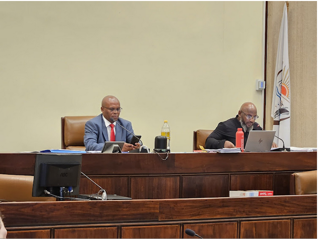 STALLED PROGRESS: Human settlements political head Thembinkosi Mafana and the directorate’s executive director, Tabiso Mfeya, deliberate on the Seaview housing development project 
