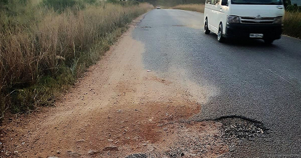 The overgrown D4 road, riddled with potholes, between Levubu and Elim. 