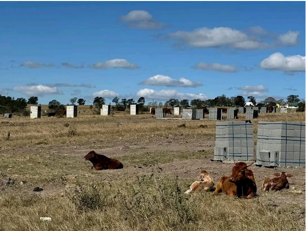 Some of the standalone toilets in the Komga housing projects in the Eastern Cape had been delayed for many years.