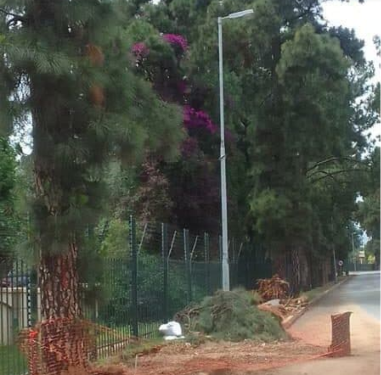  The site on Johannesburg Road where a water leak flooded the road on January 4. 