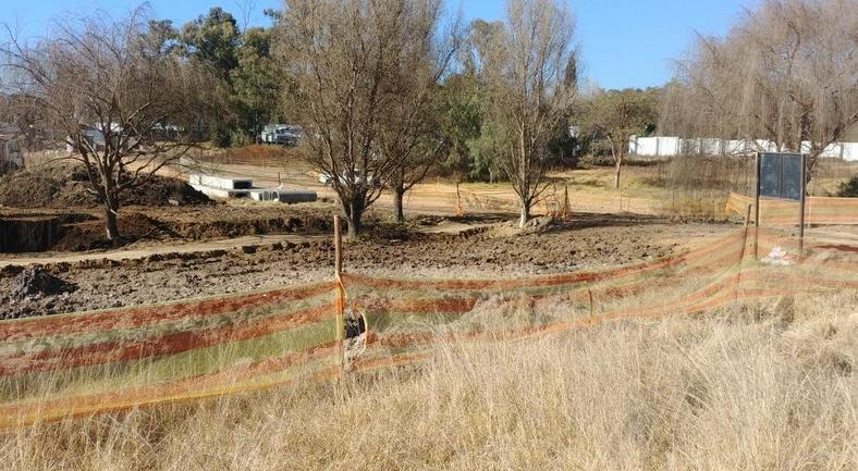 The Reid Site Progress