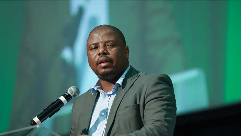 The department of Transport, Community Safety and Liaison MEC Sipho Hlomuka.