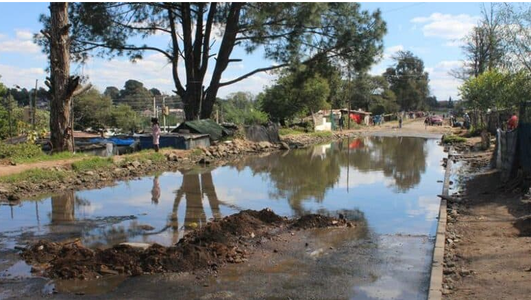 The dilapidated Albertina Sisulu Road in Princess informal settlement. 