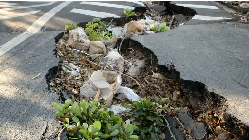 The long, deep cracks in Earl Haig Road are so bad that the section between Ashby Road and Valley View Road has been closed.
