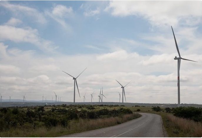 Wind turbines on the Eastern Cape bushveld along the R350 road to Bedford, outside Makhanda. 