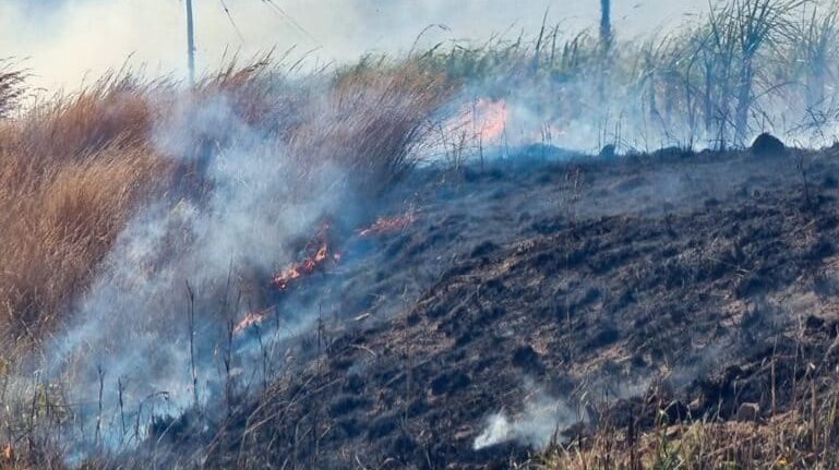  Veld fires have impacted a number of areas in the province 
