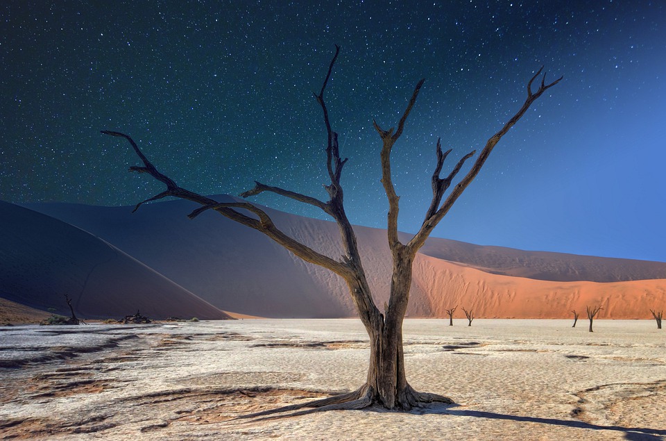 Leveraging South Africa’s leadership for astronomy development in Africa