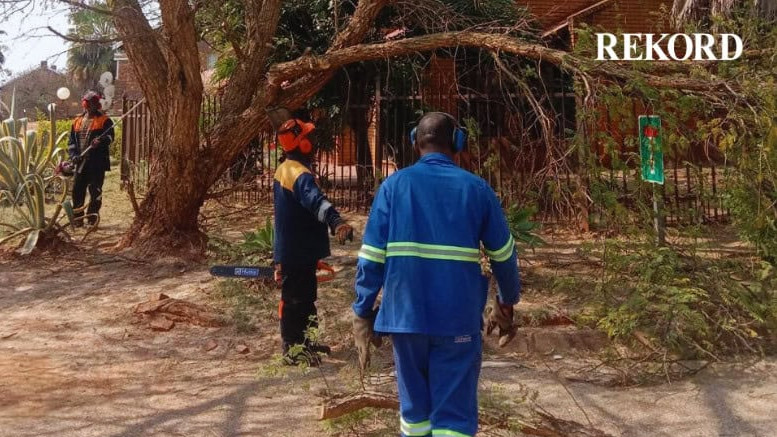 Urban maintenance crew at work in the north. 