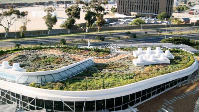 The stunning roof garden at the Life Sciences Building at the University of the Western Cape.