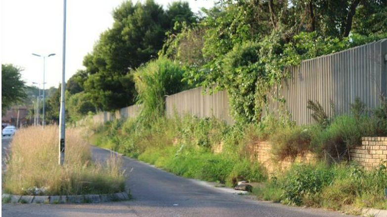 The overgrown grass on corner Old and Kaufaman roads in Halfway House.